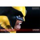 Marvel Bust 1/1 Wolverine Berserker Rage